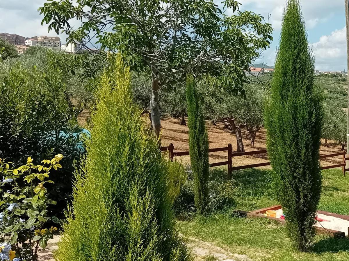 Villa Nonno Nicola Монтенеро-ди-Бизачча Экстерьер фото