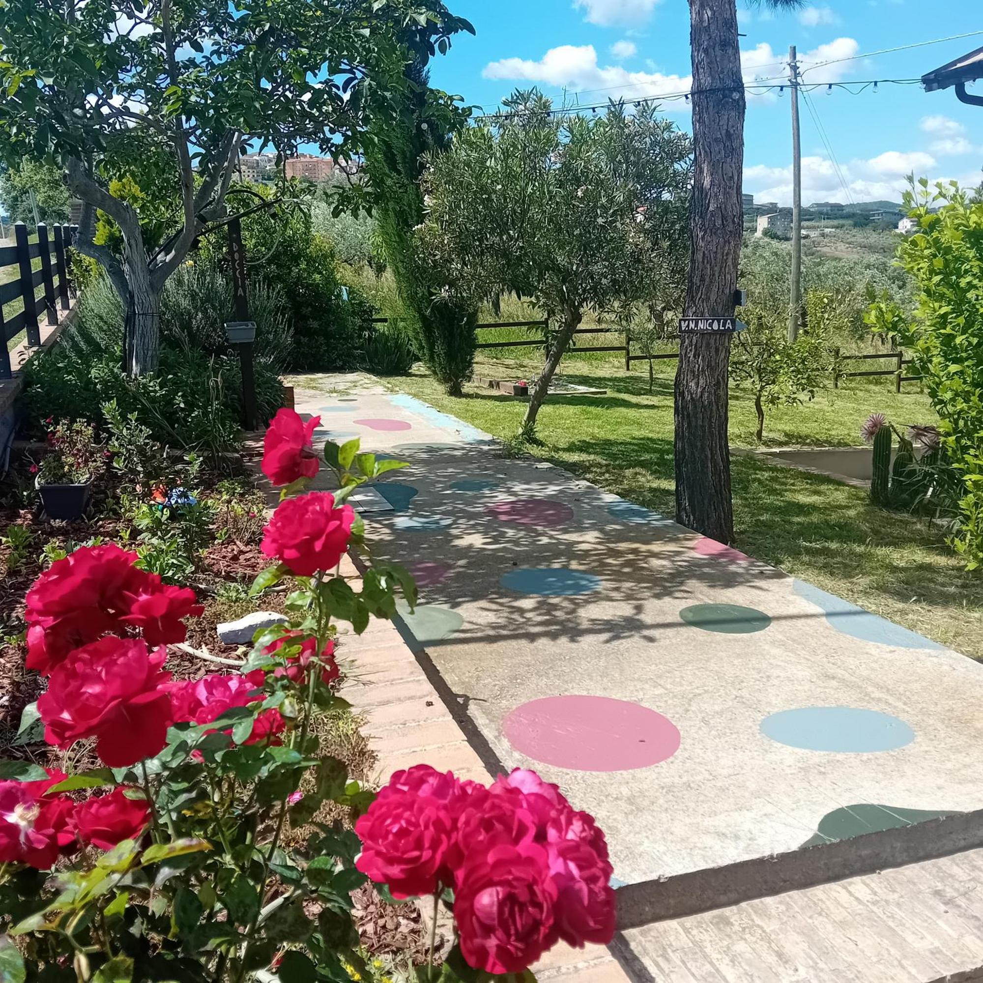 Villa Nonno Nicola Монтенеро-ди-Бизачча Экстерьер фото